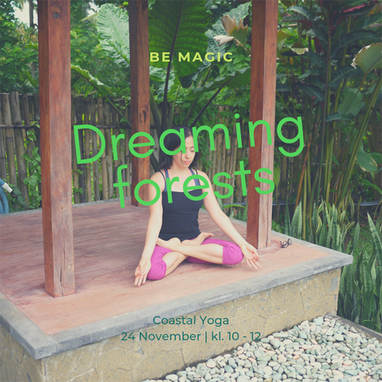 Bild på 24 nov - Dreaming a forest med Diane - Varberg Coastal Yoga
