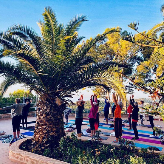 Bild på Yogaresa (intensiv) till Mallorca 7 - 11 oktober 2020 - KÖLISTA
