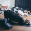 Bild på Mjuk Yoga / Senior - Varberg  - Mån 9:15-10:30 -  start v35