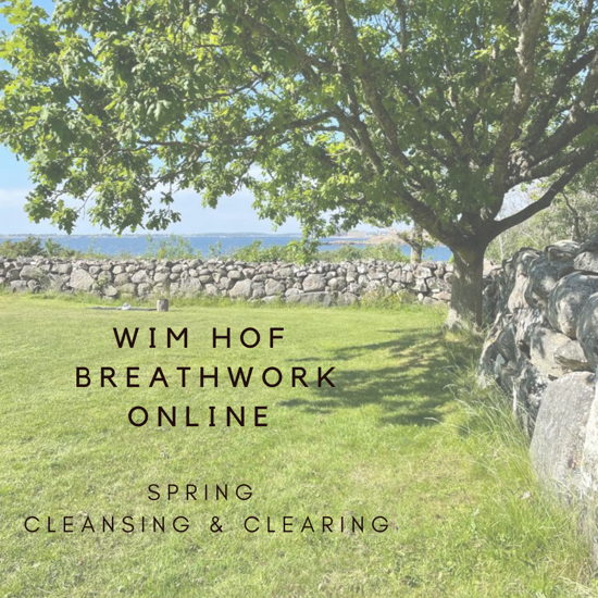 Bild på WIM HOF BREATHWORK ONLINE via Zoom 21 mars - SPRING CLEANSING & CLEARING